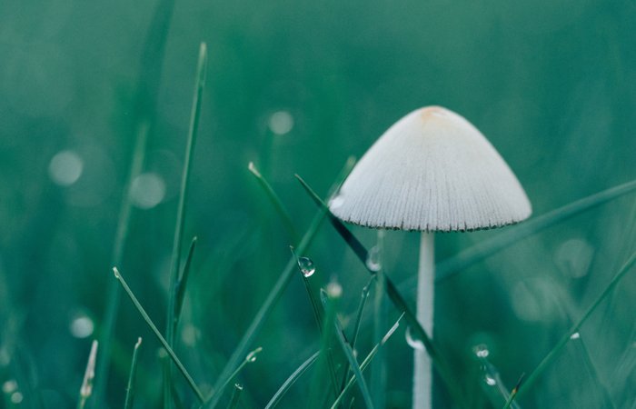 腾博会官网 - 诚信为本,专业服务!