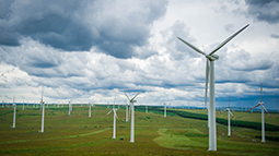 �е������ڷ��