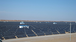 ���ľ50����