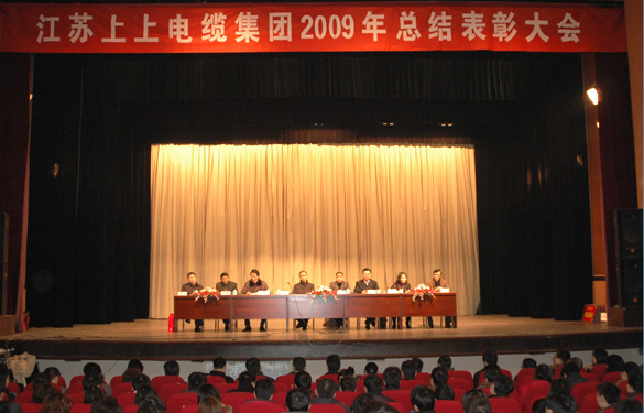 凯时最新首页登录隆重召开2009年度总结表扬大会