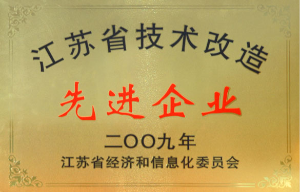 凯时最新首页登录获“2009年江苏省技术革新先进企业”称呼