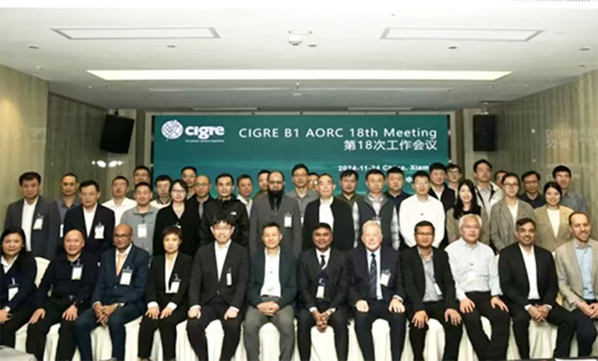 ��ʱ������ҳ��¼����������ϯCIGRE��Ե����רί����̫����18����Ტ��ר�⽲��