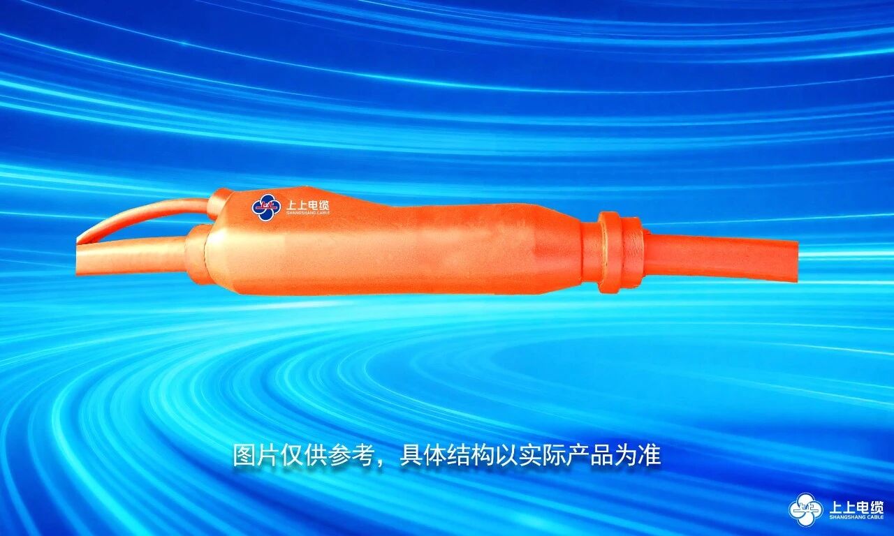 ��ɫ��Ʒ�������֧����