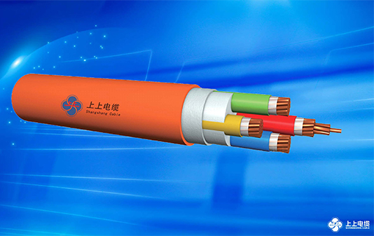1751332464938597R55l.jpg 电缆.jpg